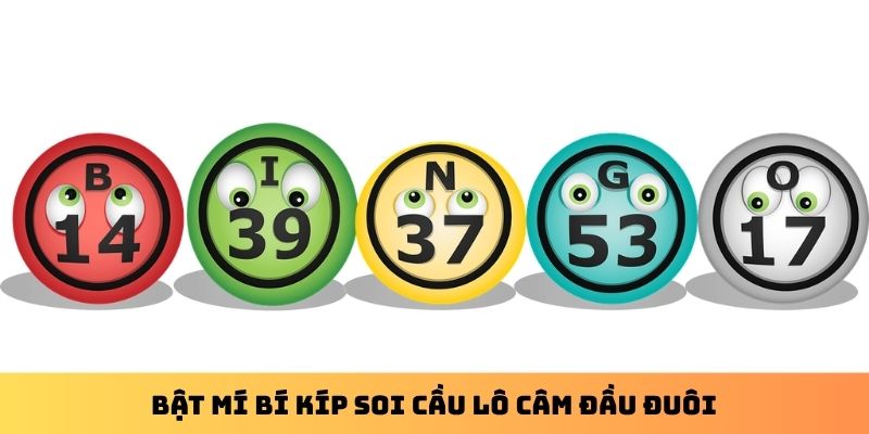 Bật mí bí kíp soi cầu lô câm đầu đuôi
