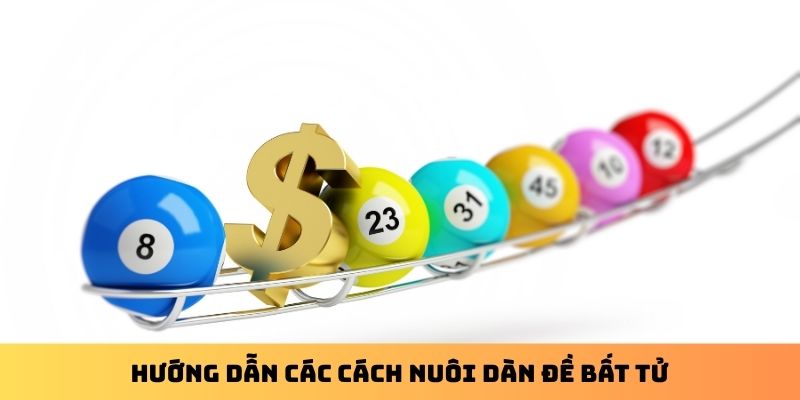 Hướng dẫn các cách nuôi dàn đề bất tử