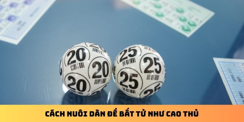 Cách nuôi dàn đề bất tử như cao thủ