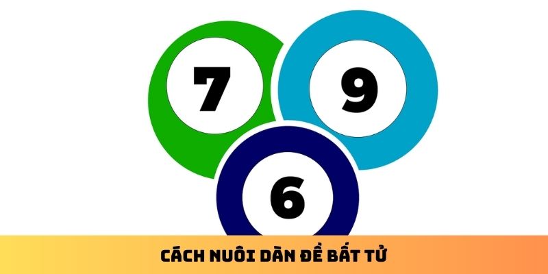 Cách nuôi dàn đề bất tử