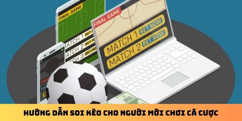 Hướng dẫn soi kèo cho người mới chơi cá cược